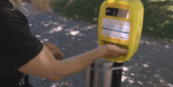 sunscreen toronto