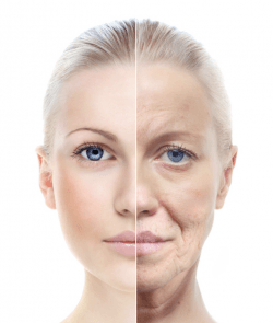 old and young skin