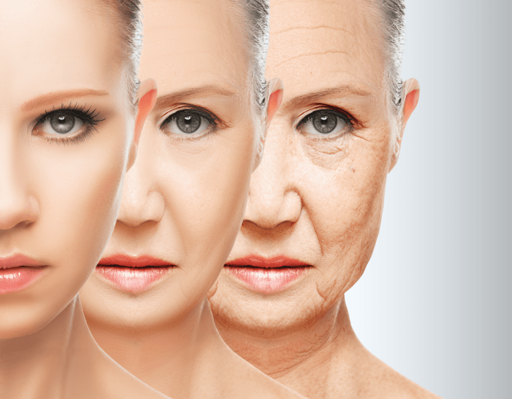 Beauty Rest Isn't Just a Buzzword 1 image 23